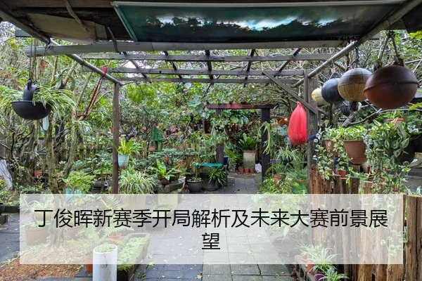 丁俊晖新赛季开局解析及未来大赛前景展望